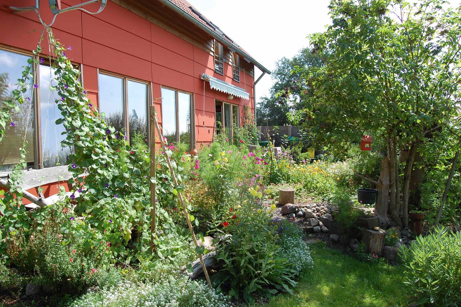Rote Hausfassade mit großen Holzfenstern, davor ein bunt blühender Garten mit Kletterpflanzen