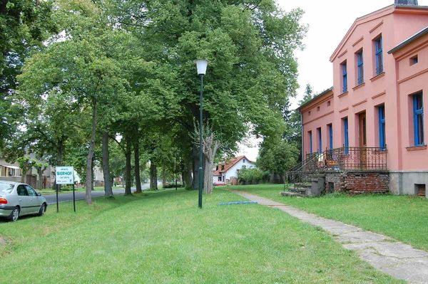 Dorfstra&szlig;e mit alten B&auml;umen und einem rosa Haus mit blauen Fenstern